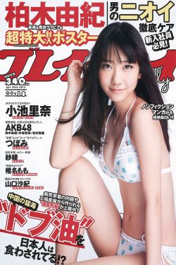 大乔抱枕图片